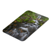 ワシントンレイニエ山国立公園2 マグネット (左側)