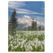 ワシントン山レイニエ国立公園1 クリップボード (裏面)