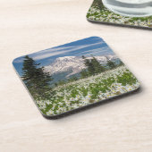 ワシントン山レイニエ国立公園1 コースター (左側)