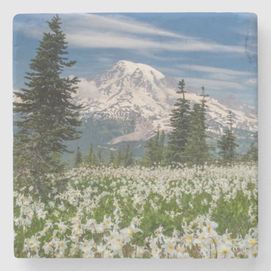 ワシントン山レイニエ国立公園1 ストーンコースター (正面)