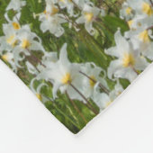 ワシントン山レイニエ国立公園1 フリースブランケット (角)