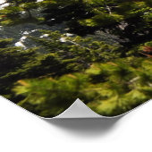 ワシントン山 ポスター (角)