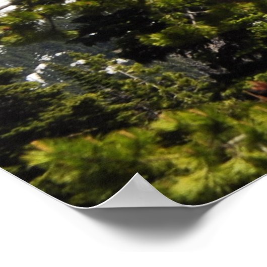 ワシントン山 ポスター (角)