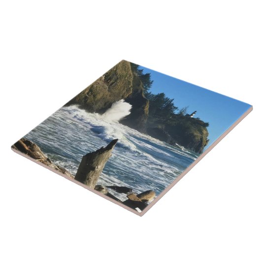 ワシントン岬失望灯台 タイル (側面)