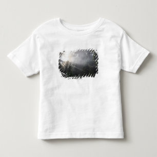 ワシントン州の森林の霧及び日曜日のビーム トドラーTシャツ
