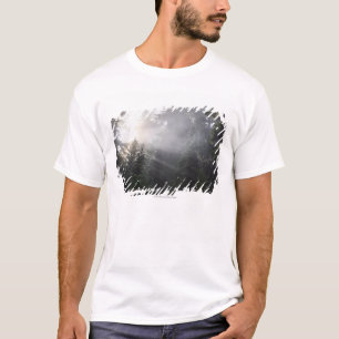 ワシントン州の森林の霧及び日曜日のビーム Tシャツ