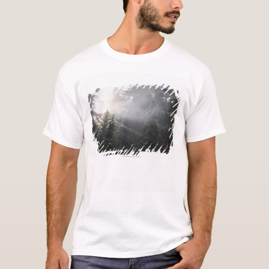ワシントン州の森林の霧及び日曜日のビーム Tシャツ (正面)