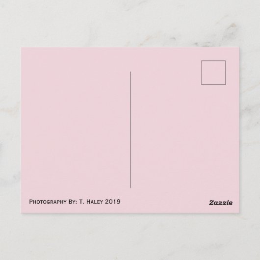 ワシントン州はがき ポストカード (裏面)