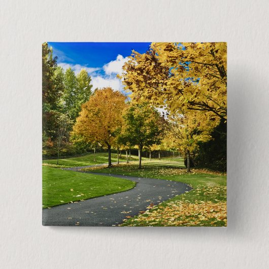 ワシントン州アメリカ 缶バッジ (正面)