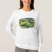 ワシントン州ウィットマン郡、パルース農地の風景 Tシャツ (正面)