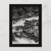 ワシントン州オハナプロックス川 ポストカード (正面)