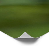 ワシントン州カスケードレンジ、山ベイカー ポスター (角)