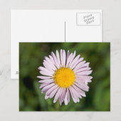 ワシントン州カスケードレンジ、山ベイカー ポストカード (正面/裏面)