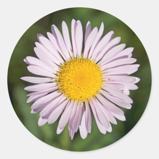 ワシントン州カスケードレンジ、山ベイカー ラウンドシール (正面)