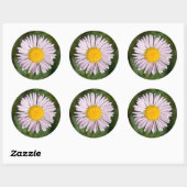 ワシントン州カスケードレンジ、山ベイカー ラウンドシール (シート)