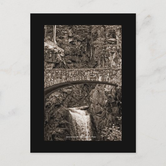 ワシントン州クリスティン秋 ポストカード (正面)