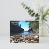 ワシントン州ケープ失望のデッドマンズコーブ ポストカード (スタンド正面)