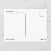 ワシントン州ケープ失望のデッドマンズコーブ ポストカード (裏面)