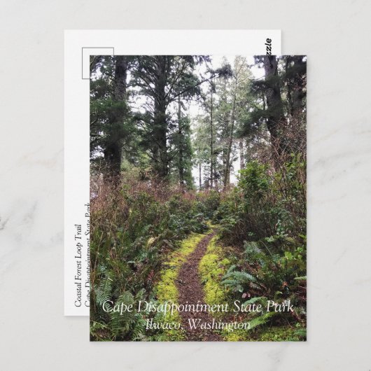 ワシントン州ケープ失望の海岸沿いの森のループ歩道 ポストカード (正面/裏面)