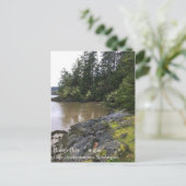 ワシントン州ケープ失望ベーカー湾 ポストカード (スタンド正面)