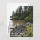 ワシントン州ケープ失望ベーカー湾 ポストカード (正面/裏面)