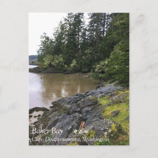 ワシントン州ケープ失望ベーカー湾 ポストカード (正面)