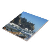 ワシントン州ケープ失望感灯所 タイル (側面)