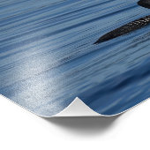 ワシントン州ゲメス島コモン・ルーン フォトプリント            (角)