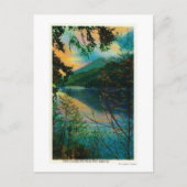 ワシントン州サザーランド湖ニューポートアンジェルス ポストカード (正面)