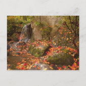 ワシントン州シアトルWA Park Arboretum日本の, ポストカード (正面)