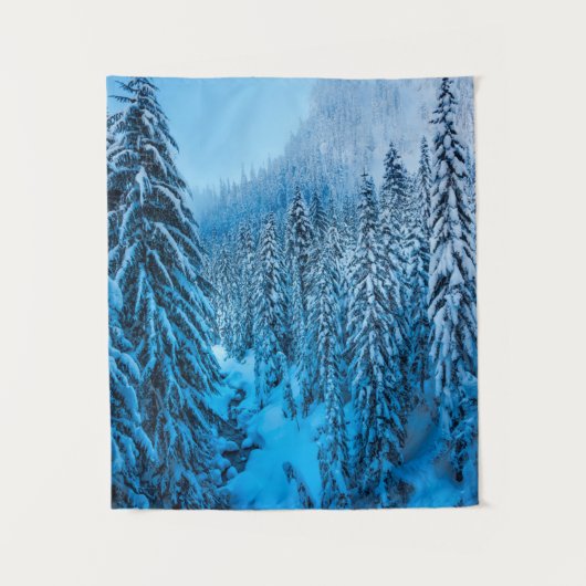 ワシントン州スノクアルミー峠。 タペストリー (正面)