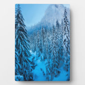 ワシントン州スノクアルミー峠。 フォトプラーク (正面)