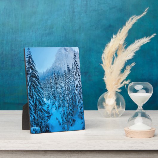 ワシントン州スノクアルミー峠。 フォトプラーク (側面)