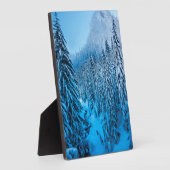 ワシントン州スノクアルミー峠。 フォトプラーク (側面)