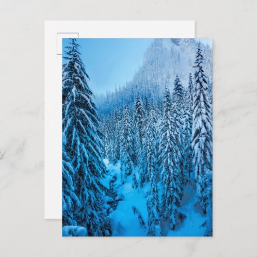 ワシントン州スノクアルミー峠。 ポストカード (正面/裏面)