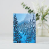 ワシントン州スノクアルミー峠。 ポストカード (スタンド正面)