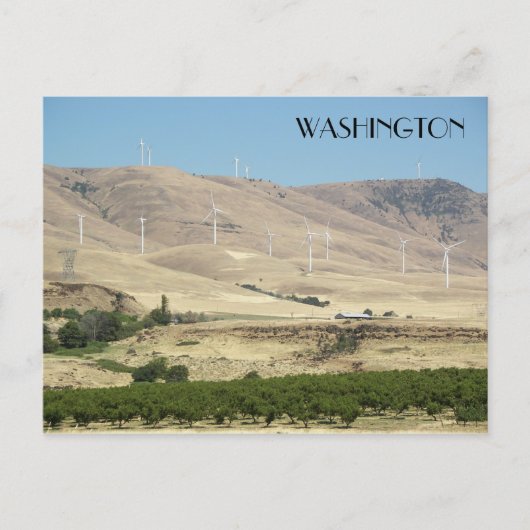 ワシントン州ブドウ園とウインドファームズ旅行 ポストカード (正面)