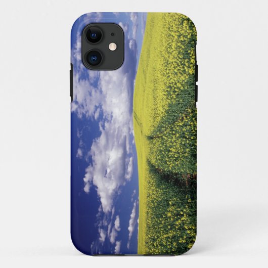 ワシントン州ホイットマン郡の黄色い菜の花 Case-Mate iPhoneケース (裏面)