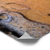 ワシントン州ポンデローサマツ樹皮 ポスター (角)