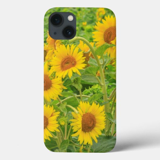 ワシントン州モーゼスレイク近くの大きなひまわり畑 2 Case-Mate iPhoneケース (裏面)