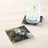 ワシントン州ログに隠れているサラマンダー ガラスコースター (アングル)