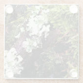 ワシントン州ログに隠れているサラマンダー ガラスコースター (裏面)