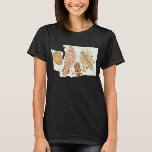 ワシントン州底生昆虫 Tシャツ