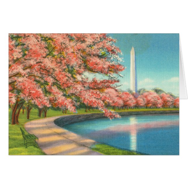 ワシントン州 (正面横)