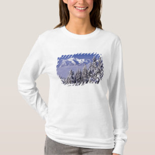 ワシントン州、オリンピック国立公園、オリンピック山脈の景色 Tシャツ
