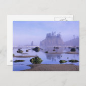 ワシントン州、オリンピック国立公園、セカンドビーチ ポストカード (正面/裏面)