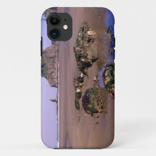 ワシントン州、オリンピック国立公園、タイドプールのあるセカンドビーチ iPhone 11 ケース