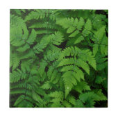 ワシントン州 タイル (正面)