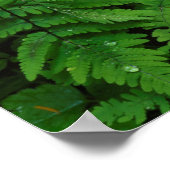 ワシントン州 ポスター (角)