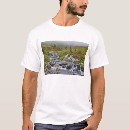ワシントン州、レイニア山国立公園、エディス・クリーク Tシャツ (正面)
